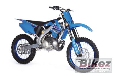 2010 TM Racing MX 300 photo